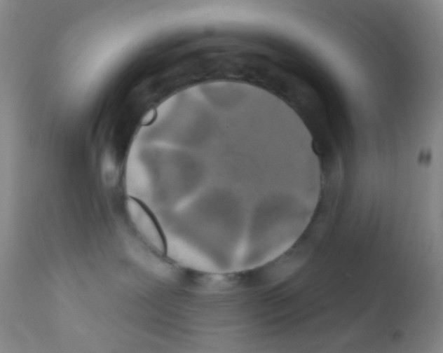 X0000111890239200909031912