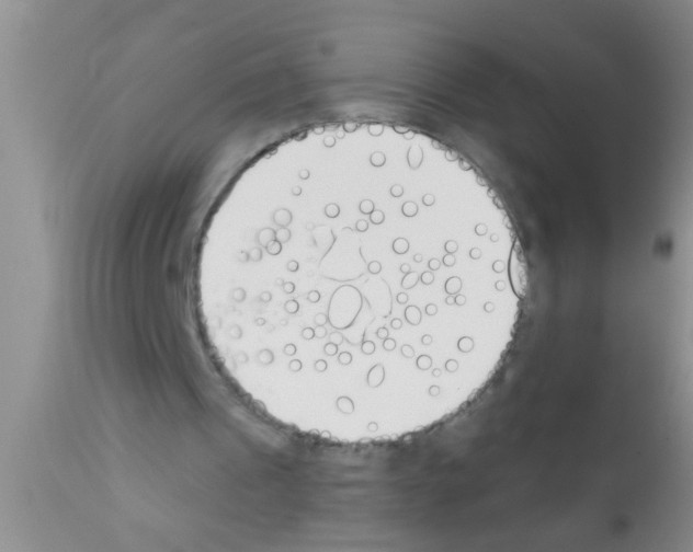 X0000111890241200909031912