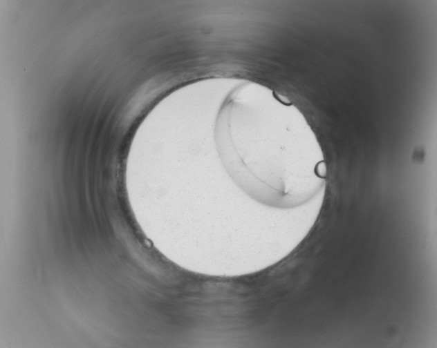 X0000111890242200909031912