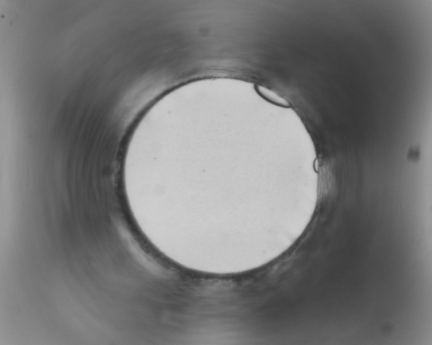 X0000111890243200909031912