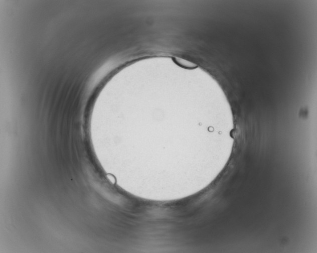 X0000111890246200909031912