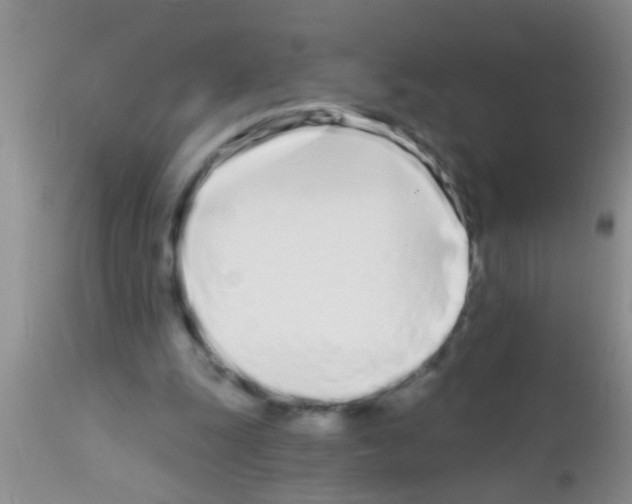 X0000111890247200909031912