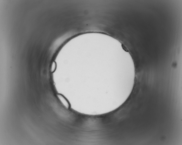 X0000111890248200909031912