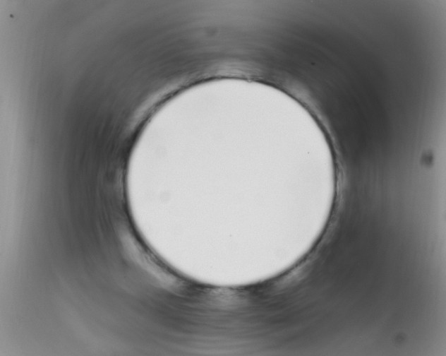 X0000111890249200909031912