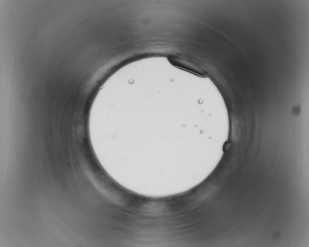 X0000111890252200909031912