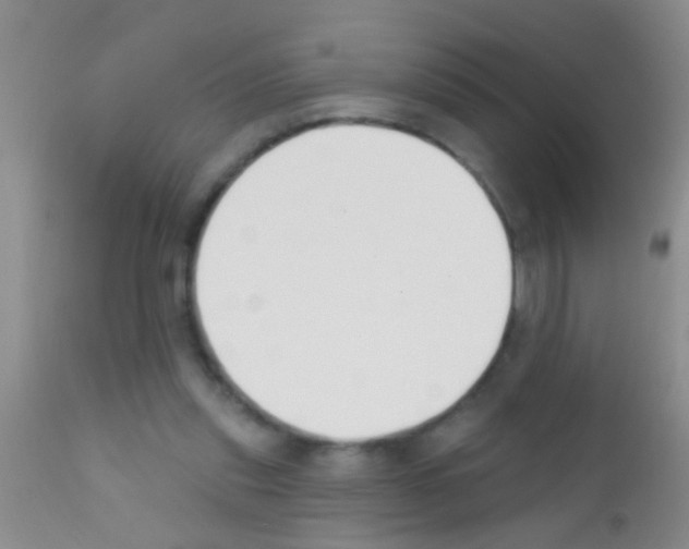 X0000111890253200909031912