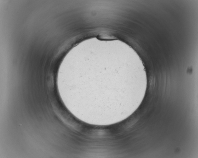 X0000111890254200909031912