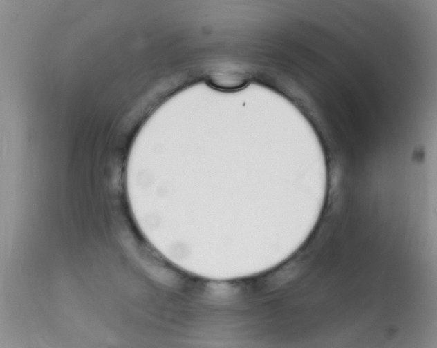 X0000111890257200909031912