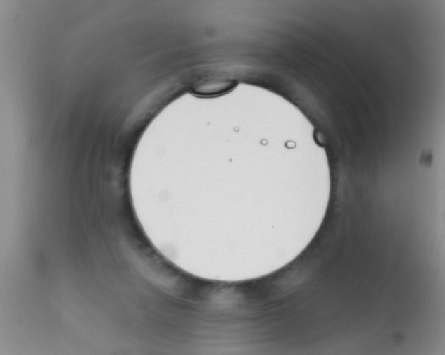 X0000111890258200909031912