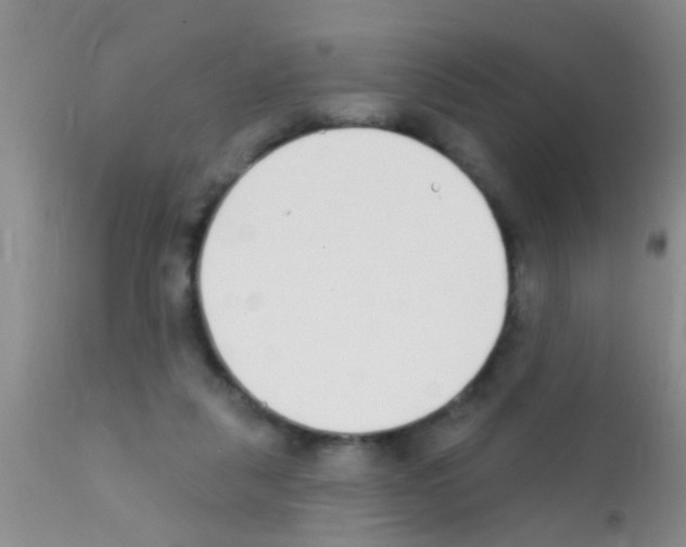 X0000111890259200909031912