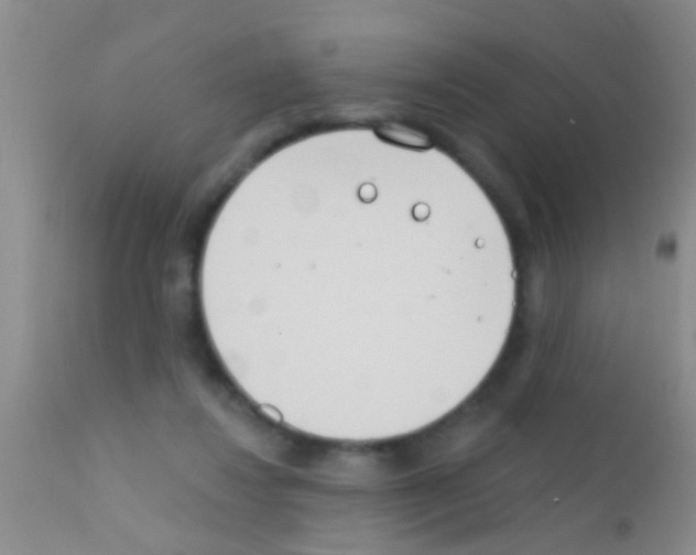 X0000111890260200909031912