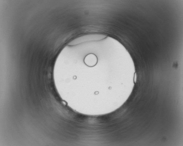 X0000111890264200909031912