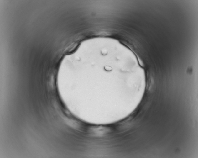 X0000111890268200909031912