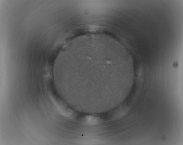 X0000111890272200909031912