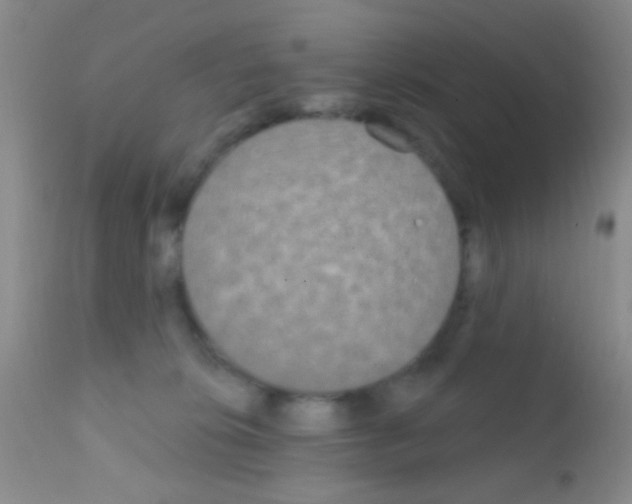 X0000111890276200909031912