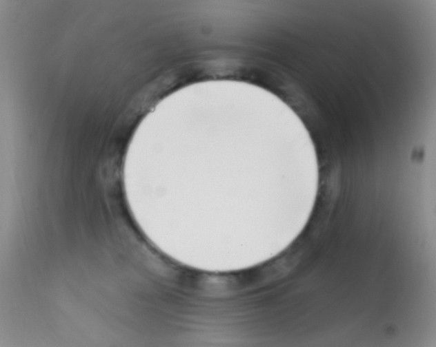 X0000111890277200909031912