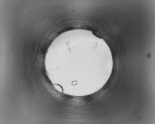 X0000111890280200909031912