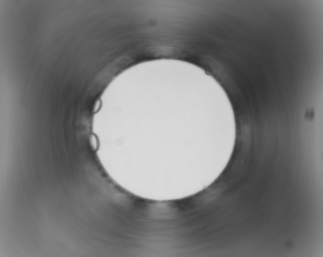 X0000111890281200909031912