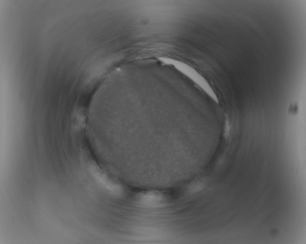 X0000111890284200909031912