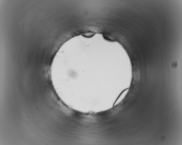 X0000111890285200909031912