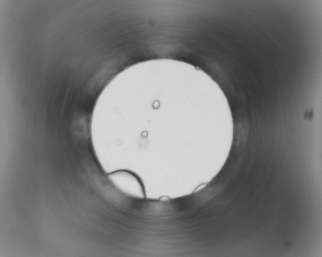 X0000111890286200909031912