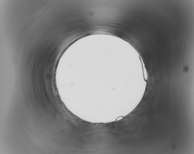 X0000111890289200909031912