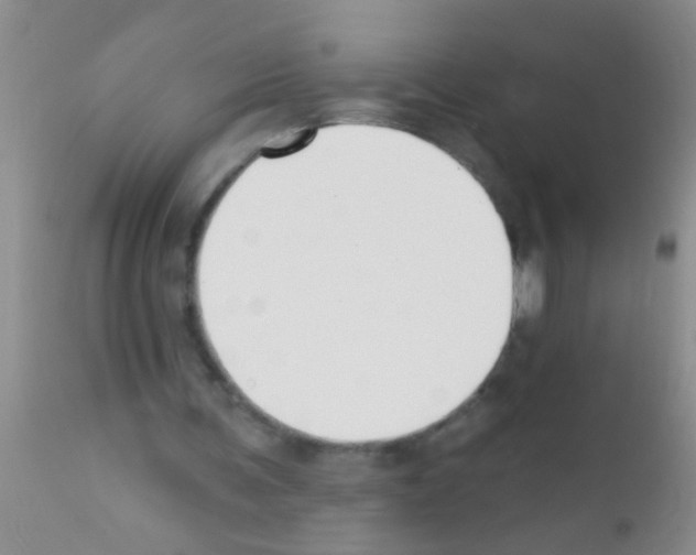 X0000111890291200909031911