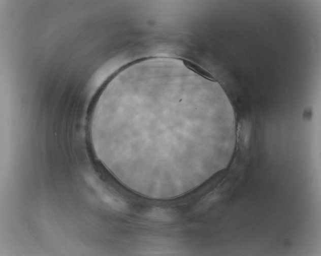 X0000111890292200909031911