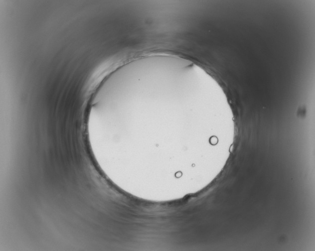 X0000111890293200909031911