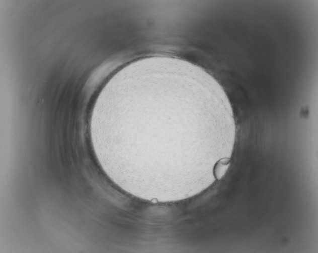 X0000111890294200909031911