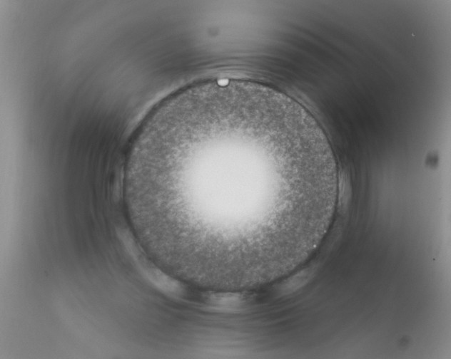 X0000111890301200909031911