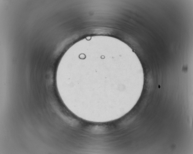 X0000111890303200909031911