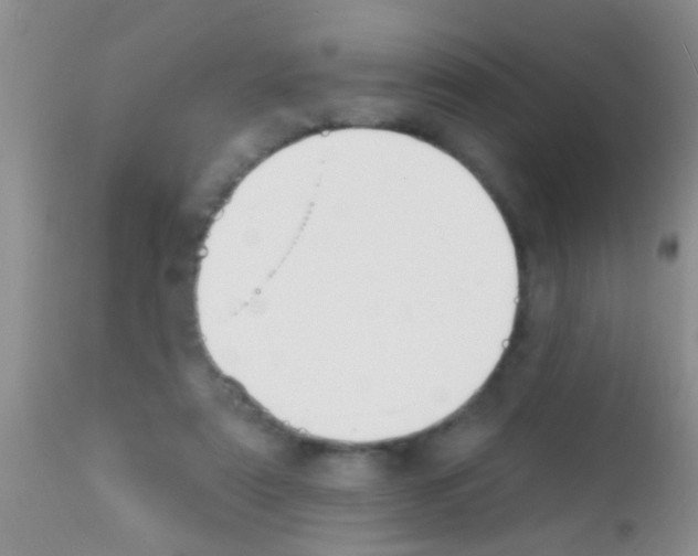 X0000111890307200909031911