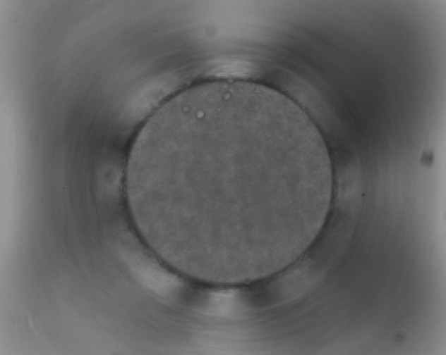 X0000111890309200909031911