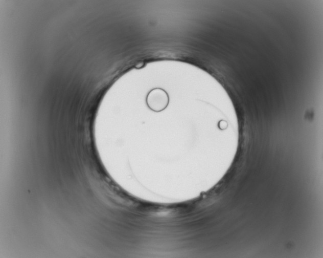 X0000111890312200909031911