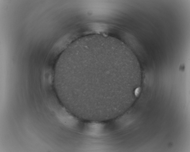 X0000111890313200909031911