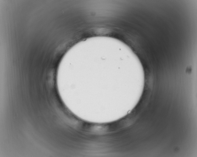 X0000111890319200909031911