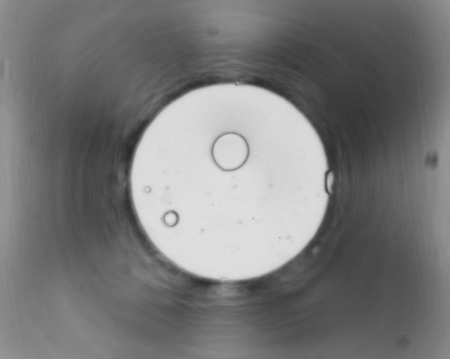 X0000111890320200909031911