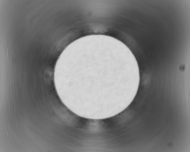 X0000111890321200909031911