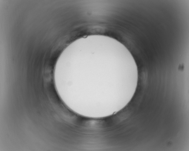 X0000111890323200909031911