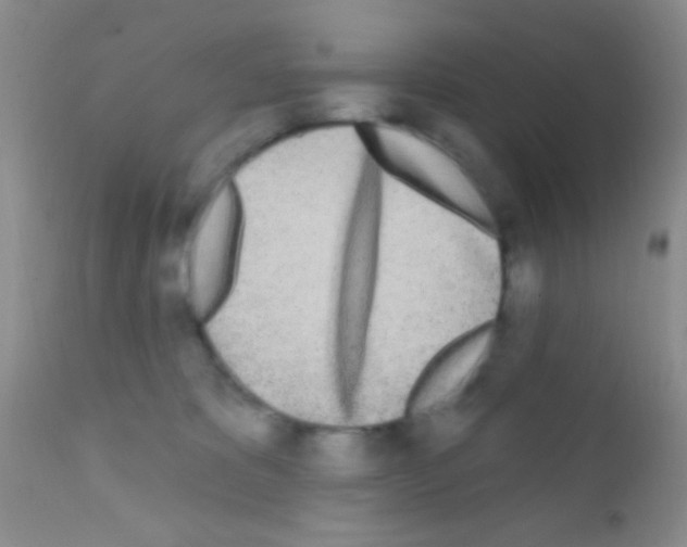 X0000111890325200909031911