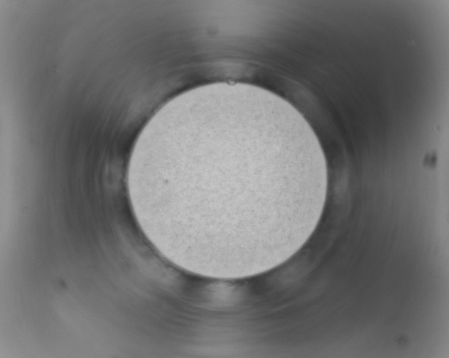 X0000111890326200909031911