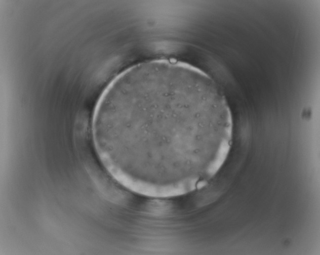 X0000111890328200909031911