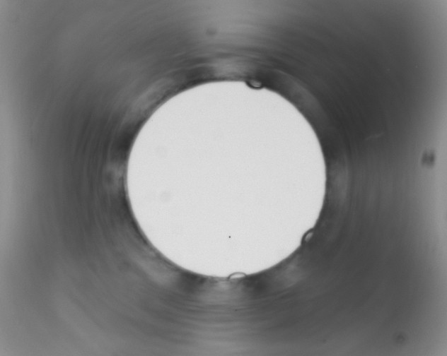 X0000111890329200909031911