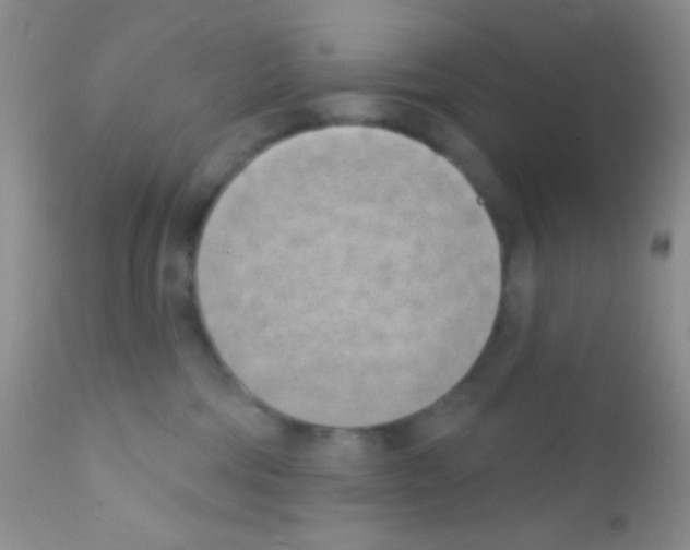 X0000111890330200909031911