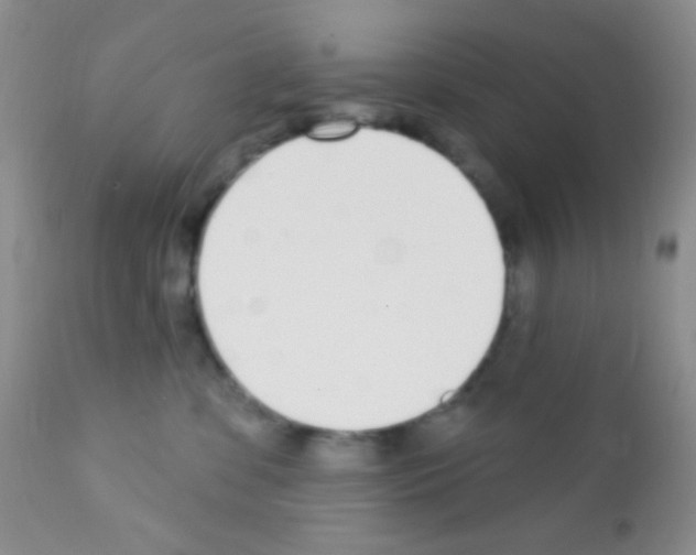 X0000111890331200909031911