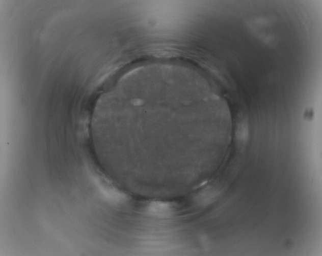 X0000111890332200909031911