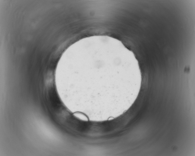 X0000111890335200909031911