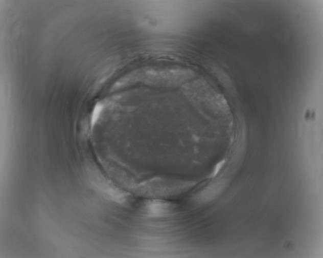 X0000111890336200909031911