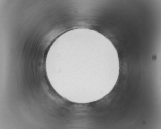 X0000111890338200909031910